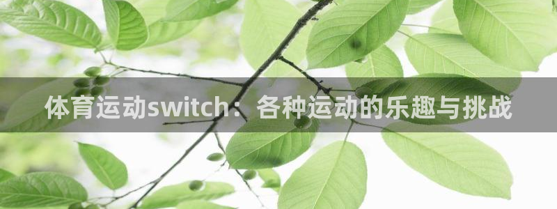 沐鸣平台：体育运动switch：各种运动的乐趣与挑战