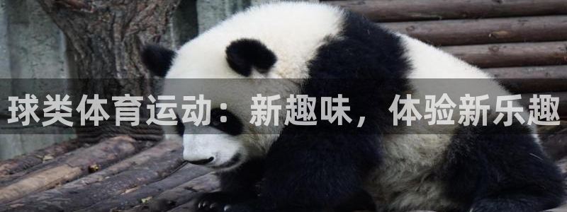 沐鸣平台注册：球类体育运动：新趣味，体验新乐趣