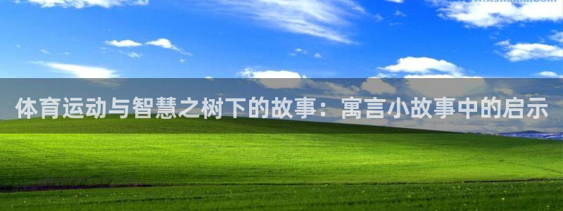 沐鸣体育代理：体育运动与智慧之树下的故事：寓言小故事中的启示