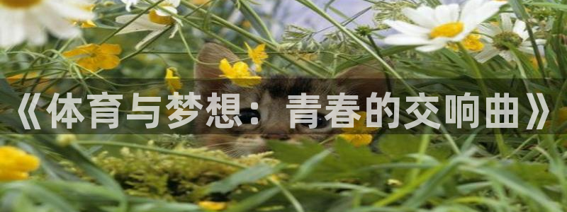沐鸣官网：《体育与梦想：青春的交响曲》