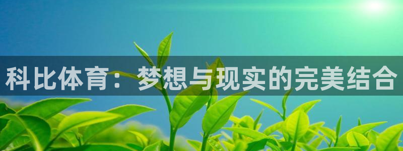 沐鸣体育游戏：科比体育：梦想与现实的完美结合