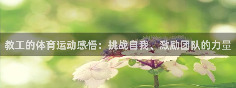 沐鸣体育：教工的体育运动感悟：挑战自我、激励团队的力量