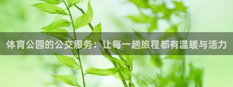 沐鸣2代理注册：体育公园的公交服务：让每一趟旅程都有温暖与活力