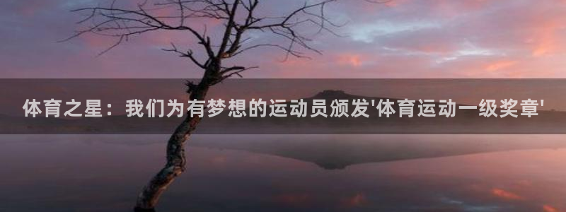 沐鸣2登录：体育之星：我们为有梦想的运动员颁发\'体育运动一级奖章\'