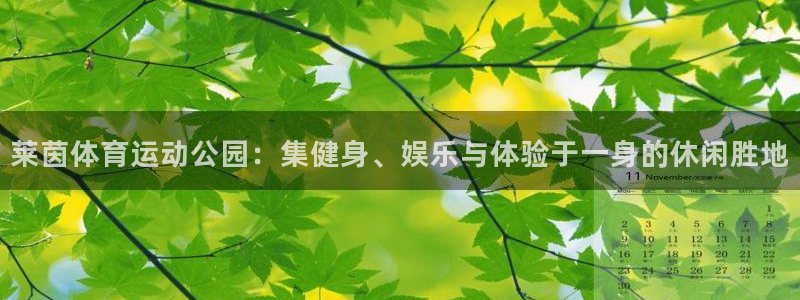 沐鸣体育平台登录入口：莱茵体育运动公园：集健身、娱乐与体验于一身的休闲胜地