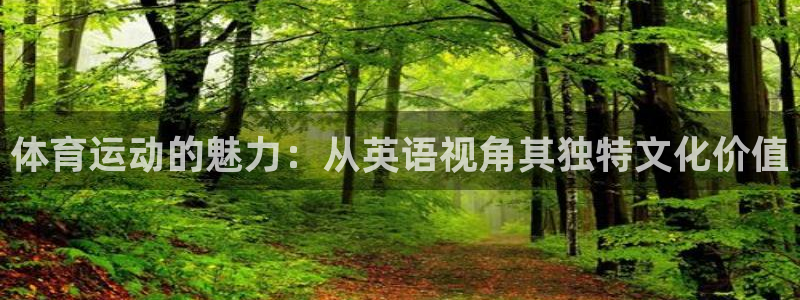 沐鸣体育app下载：体育运动的魅力：从英语视角其独特文化价值
