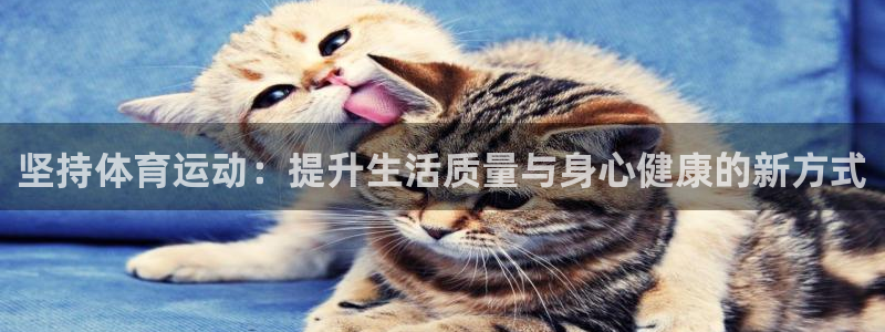 沐鸣3登陆：坚持体育运动：提升生活质量与身心健康的新方式