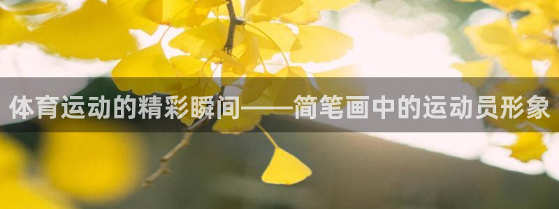 沐鸣体育凯捷平台主管：体育运动的精彩瞬间——简笔画中的运动员形象