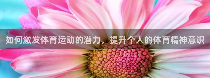 东莞市意昂电子科技有限公司：如何激发体育运动的潜力，提升个人的体育精神意识