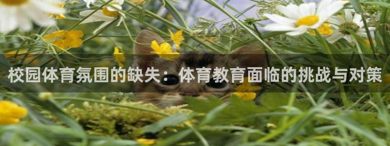 意昂3平台登录注册：校园体育氛围的缺失：体育教育面临的挑战与对策