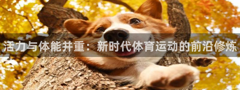 沐鸣：活力与体能并重：新时代体育运动的前沿修炼