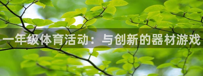 沐鸣2代理注册：一年级体育活动：与创新的器材游戏