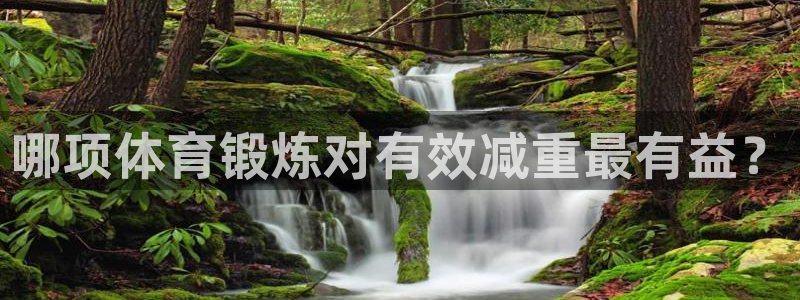 沐鸣体育老板是谁：哪项体育锻炼对有效减重最有益？