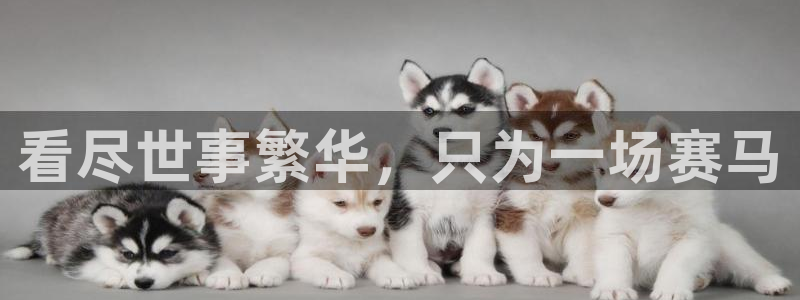 沐鸣f凯捷注册：看尽世事繁华，只为一场赛马