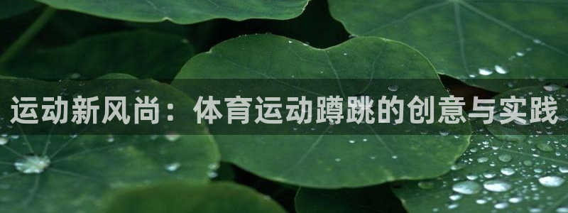 沐鸣平台登录：运动新风尚：体育运动蹲跳的创意与实践
