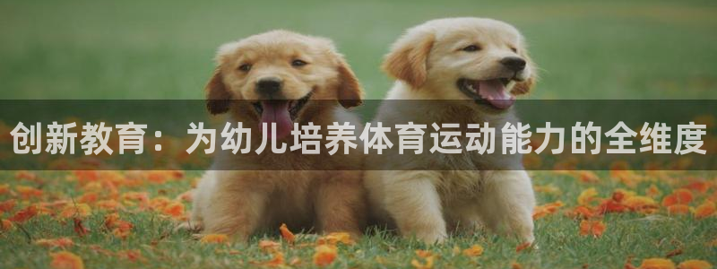 意昂注册：创新教育：为幼儿培养体育运动能力的全维度