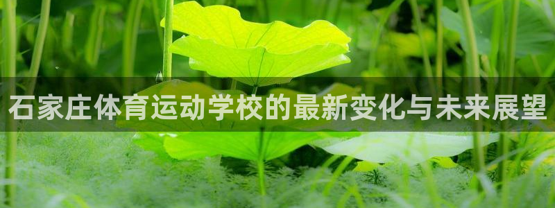 意昂平台：石家庄体育运动学校的最新变化与未来展望