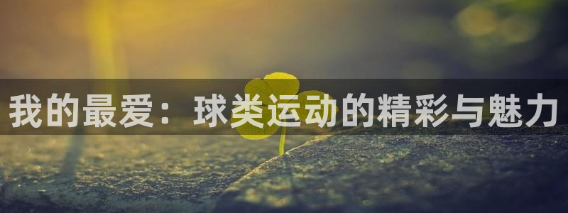 东莞市意昂电子科技有限公司：我的最爱：球类运动的精彩与魅力