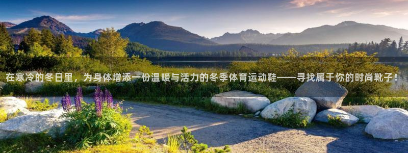 沐鸣f平台注册：在寒冷的冬日里，为身体增添一份温暖与活力的冬季体育运动鞋——寻找
