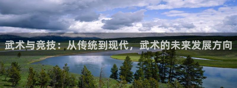 沐鸣4开户：武术与竞技：从传统到现代，武术的未来发展方向