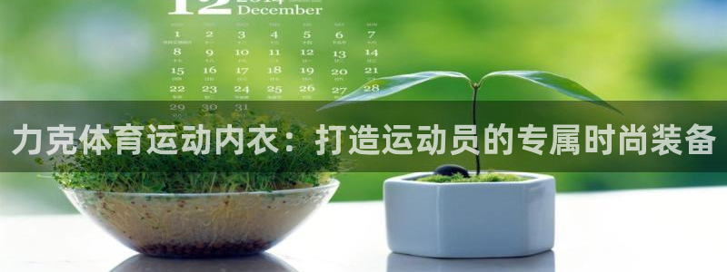 意昂扬是什么意思：力克体育运动内衣：打造运动员的专属时尚装备