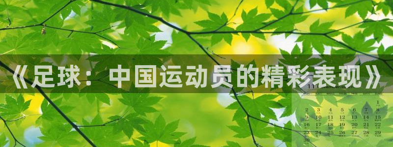 意昂平台主管：《足球：中国运动员的精彩表现》