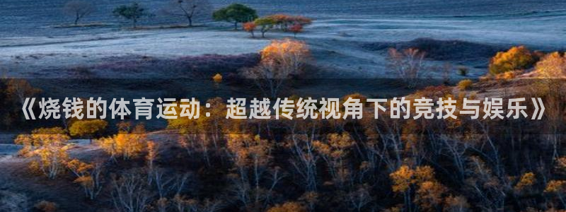 沐鸣平台注册：《烧钱的体育运动：超越传统视角下的竞技与娱乐》