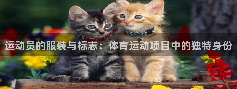 沐鸣体育凯捷平台注册：运动员的服装与标志：体育运动项目中的独特身份