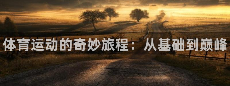 意昂凯捷注册：体育运动的奇妙旅程：从基础到巅峰